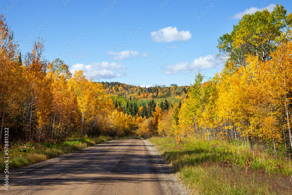 Dirt road below hills and trees in autumn color in northern Minnesota on a sunny afternoon