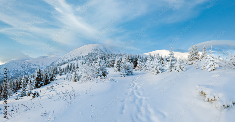 Morning winter mountain landscape with fir forest on slope. Morning winter mountain landscape with fir forest on slope.