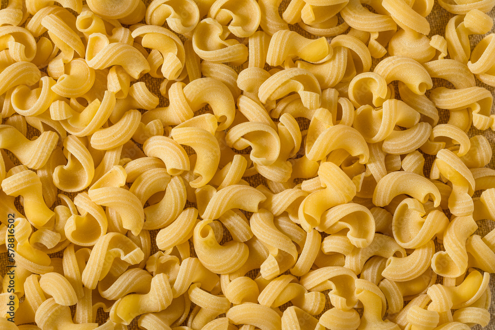 Organic Dry Cavatappi Pasta Organic Dry Cavatappi Pasta