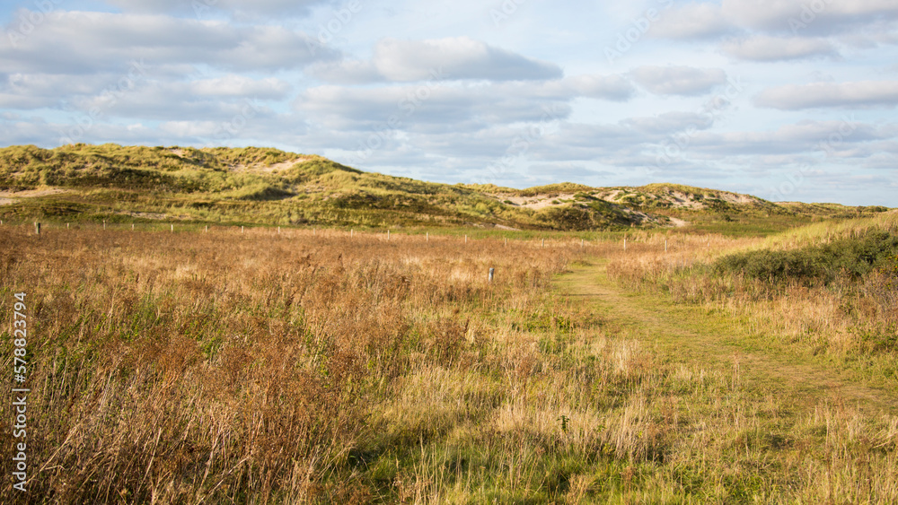 Dry grassy landscape with a few clouds and light dunes in the background