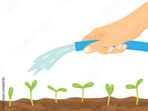 hand holding garden hose and watering young plants- vector illustration