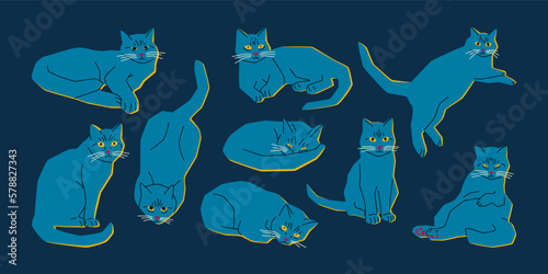 Cute cats in various poses. Funny cartoon pet animals characters set, modern design collection. Vector flat illustration