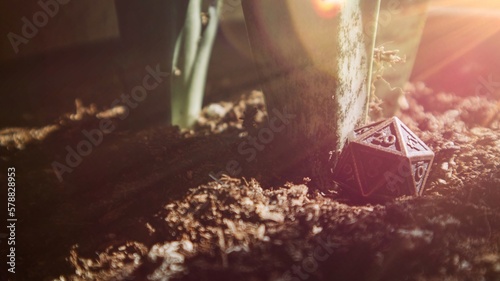 Fotografía DnD Dice in Garden Sunbeam