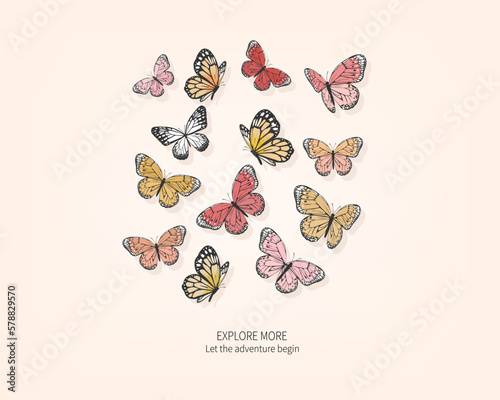 butterfly hand drawn design vector