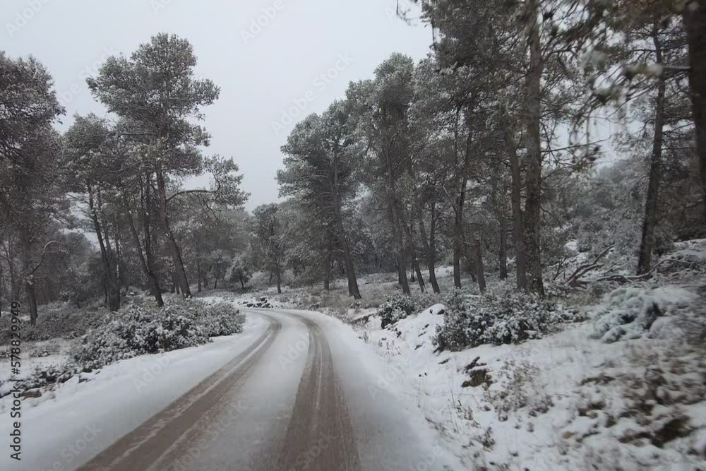 first person view driving on a snowy road surrounded by trees first person view driving on a snowy road surrounded by trees