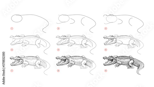 Page shows how to learn to draw sketch a redoubtable alligator. Pencil drawing lessons. Educational page for artists. Textbook for developing artistic skills. Online education. Vector illustration.