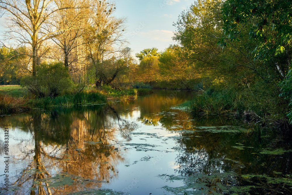 A small forest river slowly flows between the grassy banks, the evening, the setting sun illuminates this picture with a golden light, a beautiful autumn landscape