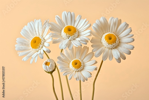 Bouquet of beautiful chamomile style flowers, on a pastel colored studio background, summer and spring flowers concept in minimal style. Illustration. Generative AI