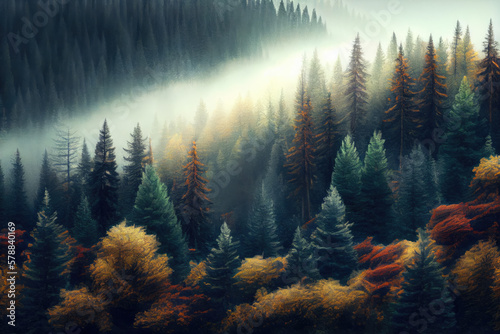 Aerial view of foggy autumn coniferous forest landscape. © imlane