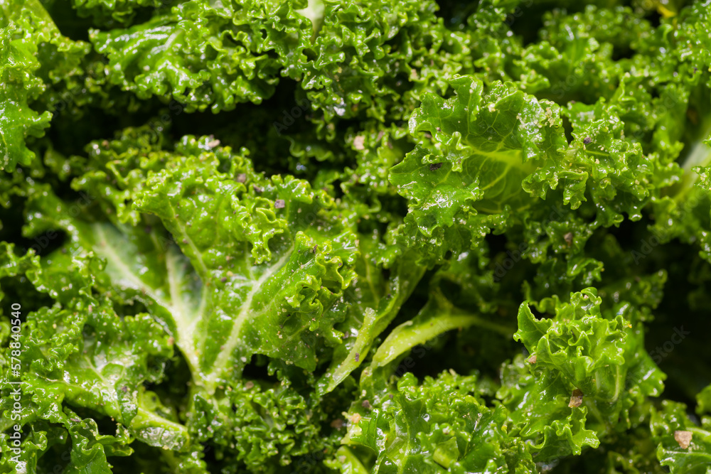 Fotografie Kale Leaves Being Prepared For Making Kale Chips