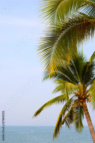 Coconut palm trees withsea and blue sky