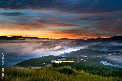 The magical beauty of the pine forests on the hill hidden in fog and cloud in the early morning at Da Lat town. Dalat is one of the most beautiful and the most famous traveling place in Viet Nam.