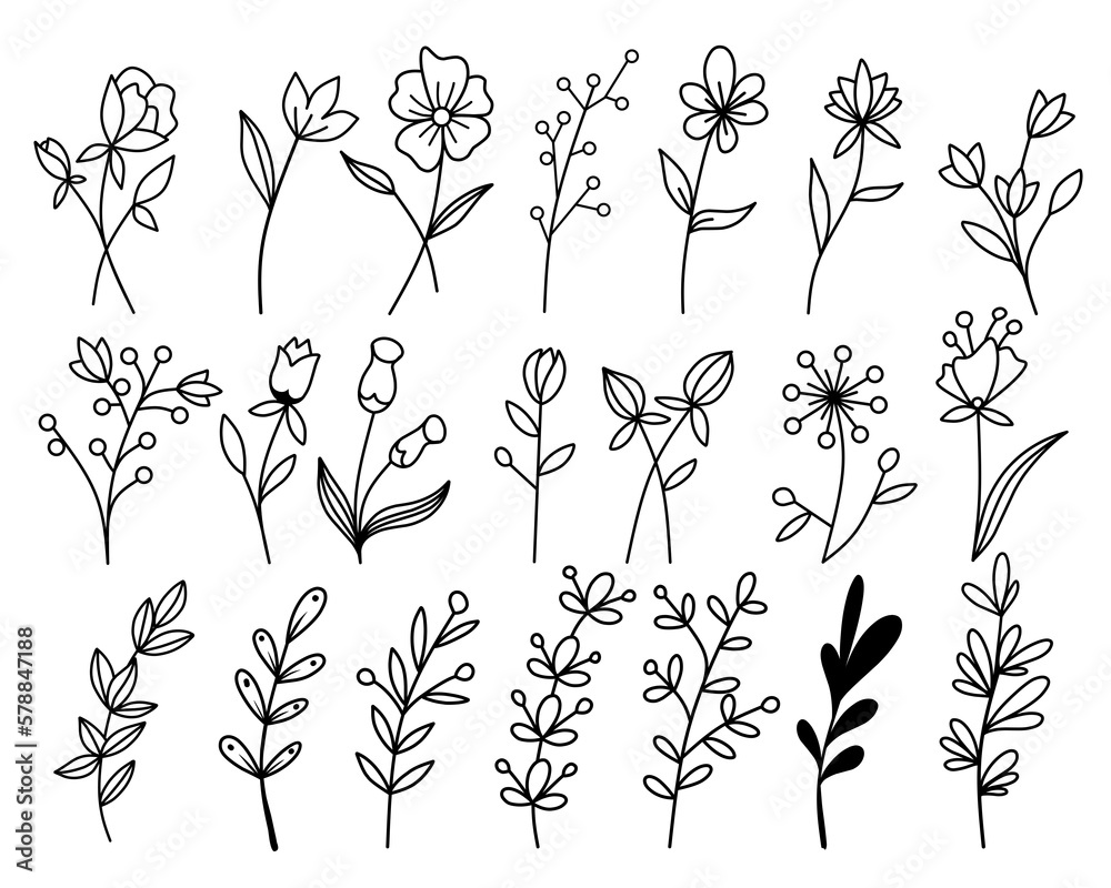 Plant brunches doodle illustration including different tree leaves. Hand drawn cute line art of forest flora - eucalyptus, fern, berries, blueberries. Outline rustic botanical drawing for coloring