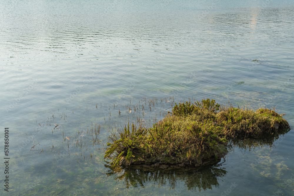 Fototapeta premium trozo de tierra con hierba verde rodeada de agua
