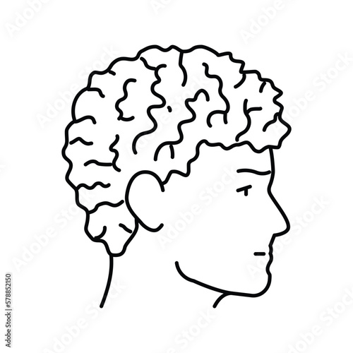 curly male hairstyle male line icon vector illustration