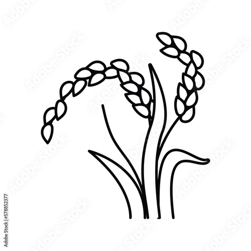 oryza plant food line icon vector illustration