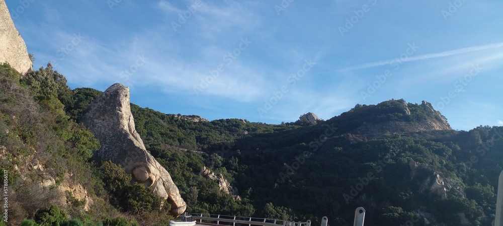 Fototapeta premium pez piedra