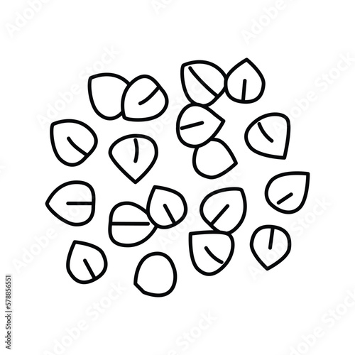 buckwheat grain healthy line icon vector illustration