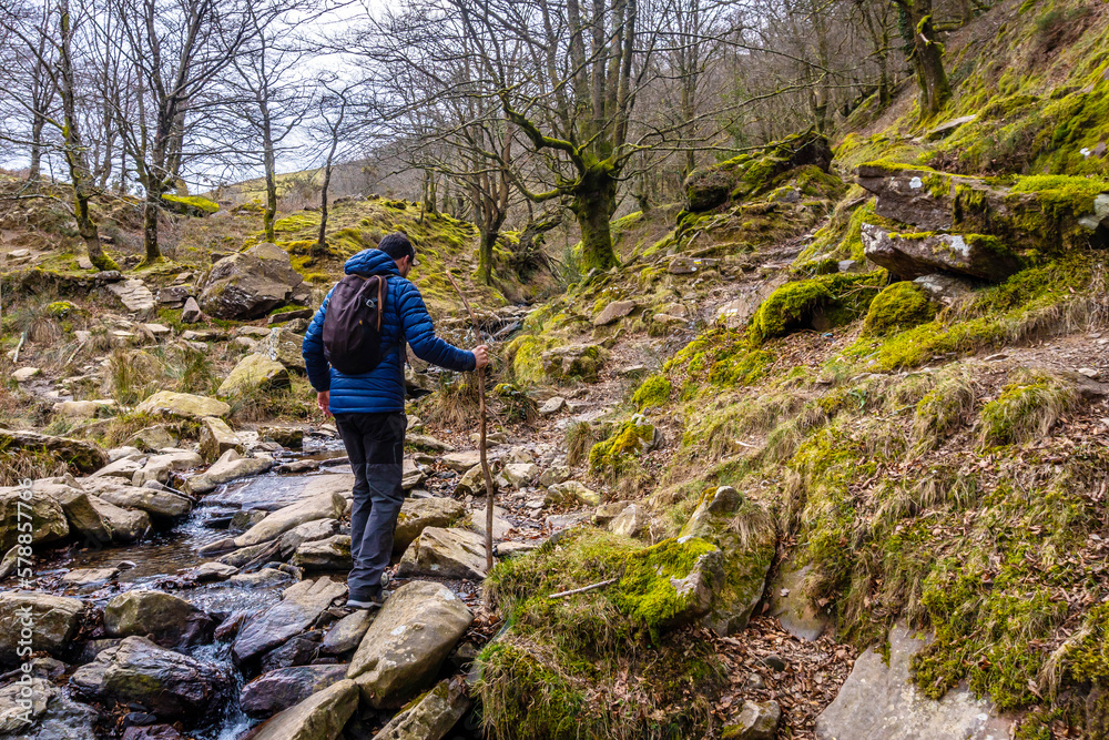 A man on the path through the beech woods on the ascent to Mount Adarra, in the Guipuzcoan municipality of Urnieta, near San Sebastián. Basque Country A man on the path through the beech woods on the ascent to Mount Adarra, in the Guipuzcoan municipality of Urnieta, near San Sebastián. Basque Country