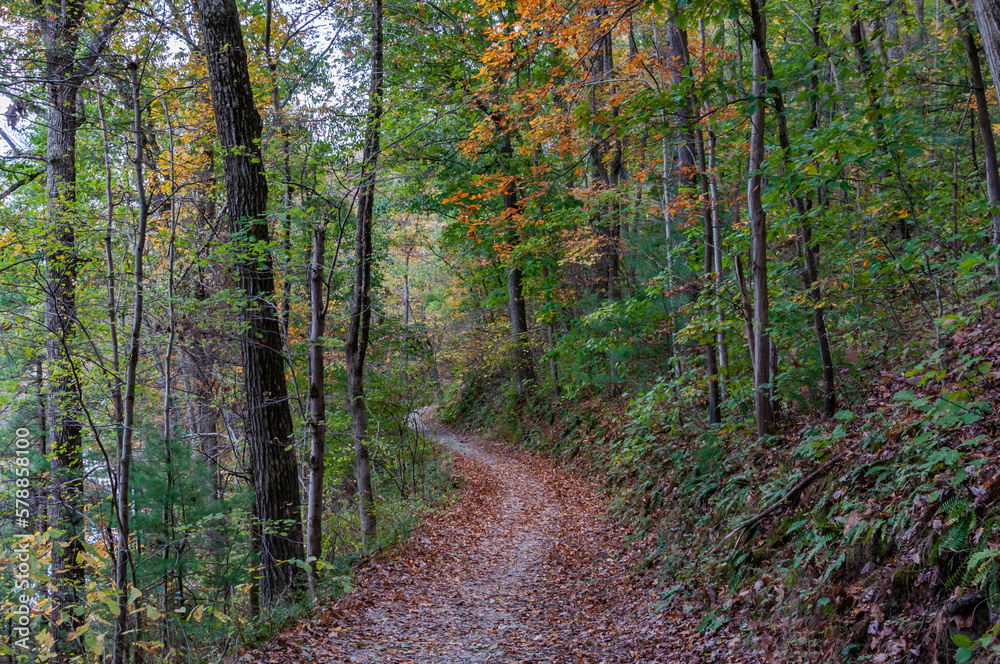 Fototapeta premium Hiking to the Lake on a Beautiful Autumn Afternoon, York County :Pennsylvania USA, Pennsylvania