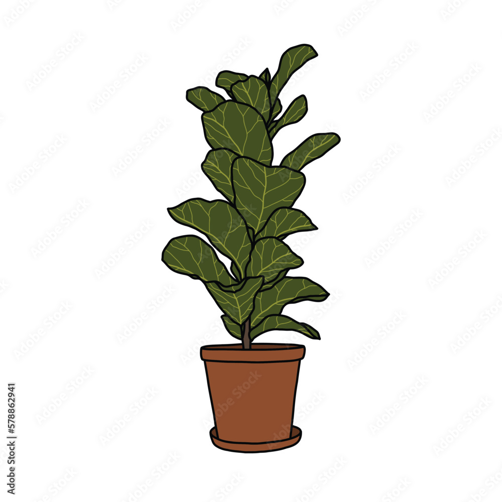 Fototapeta premium ficus lyrata doodle icon, vector color line illustration