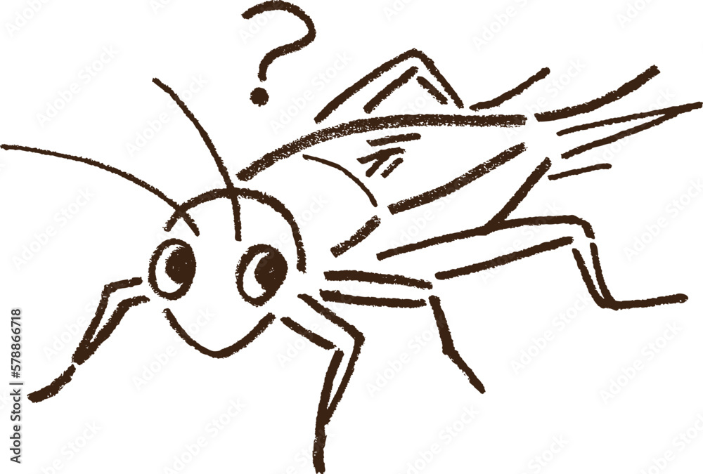 コオロギ鉛筆手描き コオロギ鉛筆手描き