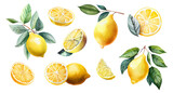 Lemon branches with fruits and green leaves set. Juicy citrus for lemonade. Sliced in pieces fresh lemons, watercolor style illustration isolated on transparent background. Generative AI