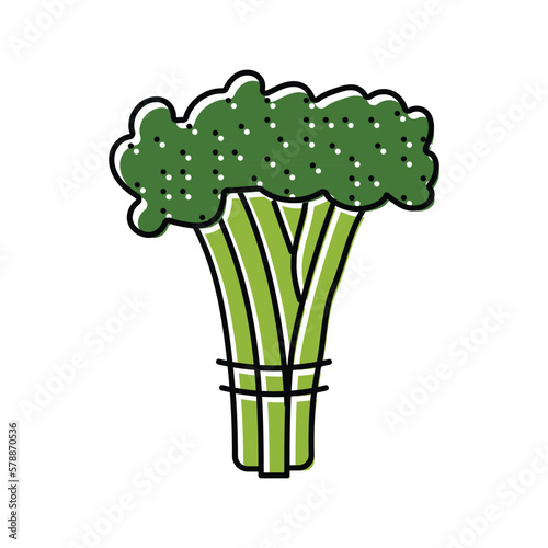 broccoli rabe color icon vector illustration