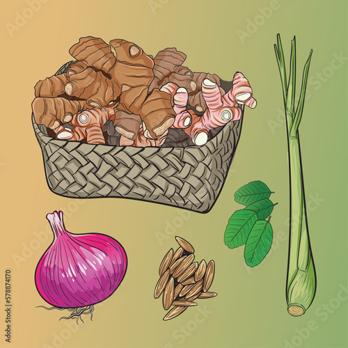 set of traditional herbs in indonesia
