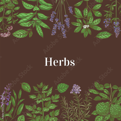 Hand-Drawn Color Square Template with Herbs