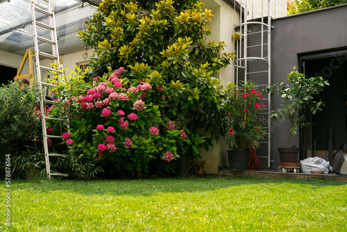 Beautiful backyard, garden in spring or summer season 