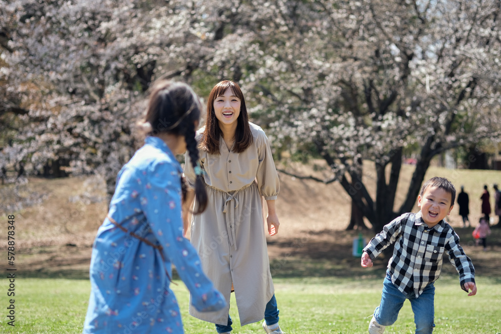 春の公園で遊ぶファミリー 春の公園で遊ぶファミリー