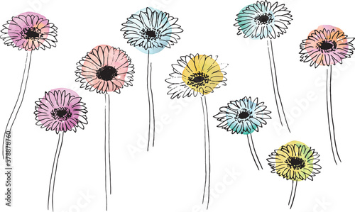 手書きのベクター植物イラスト。手描きのガーベラ線画イラスト。植物背景素材。Hand drawn vector plant illustration. Hand drawn gerbera line drawing illustration. Plant background material.