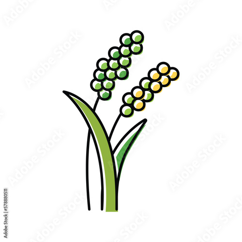 millet plant food color icon vector illustration