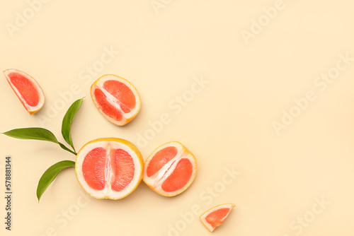 Fototapeta Naklejka Na Ścianę i Meble -  Composition with pieces of ripe grapefruit and plant branch on color background