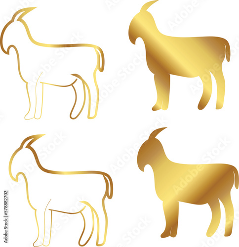 golden goat  photo