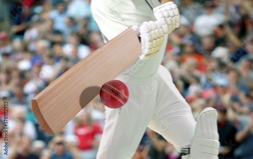 Canvas-taulu Cricket players batsman hitting ball in a stadium.