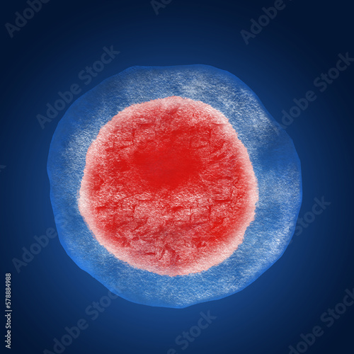 Cryopreservation of genetic material. Ovum in ice on blue background photo