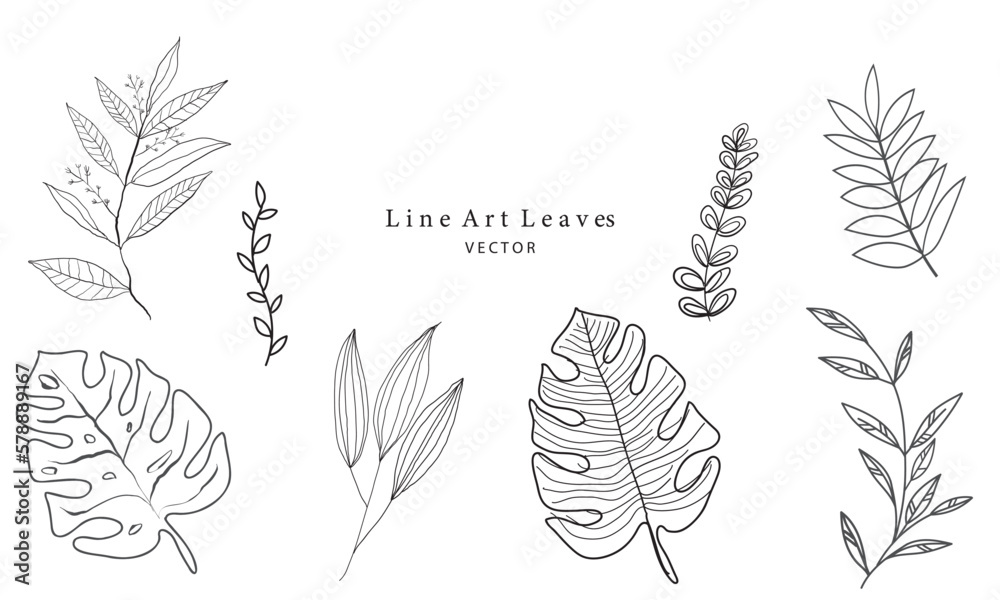 set of line art leaves vector