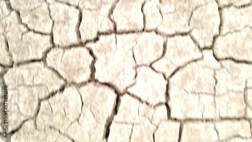 Cracked land pieces with growing plants on top, top down view photo