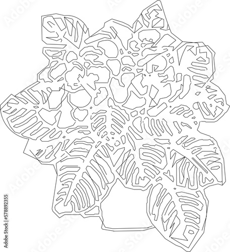 sketch vector illustration of ornamental plants in the house