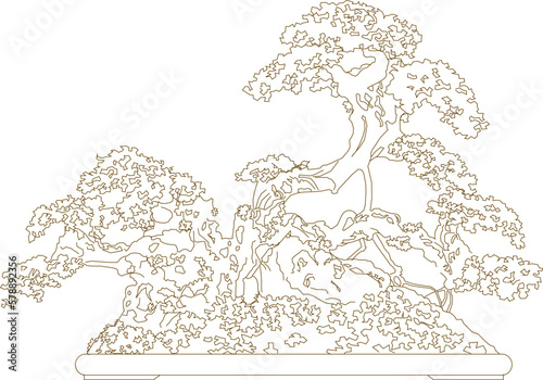 sketch vector illustration of ornamental plants in the house