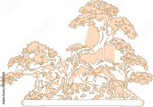 sketch vector illustration of ornamental plants in the house