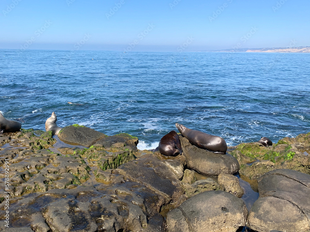 Obraz premium rocks and sea