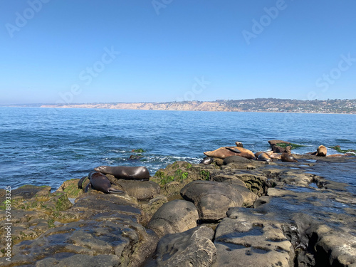 sea and rocks