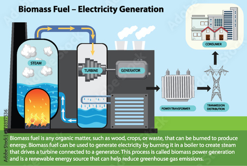 Biomass Fuel Electricity Generation Diagram