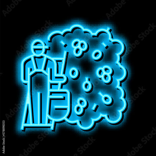 harvesting manual olive berries neon glow icon illustration