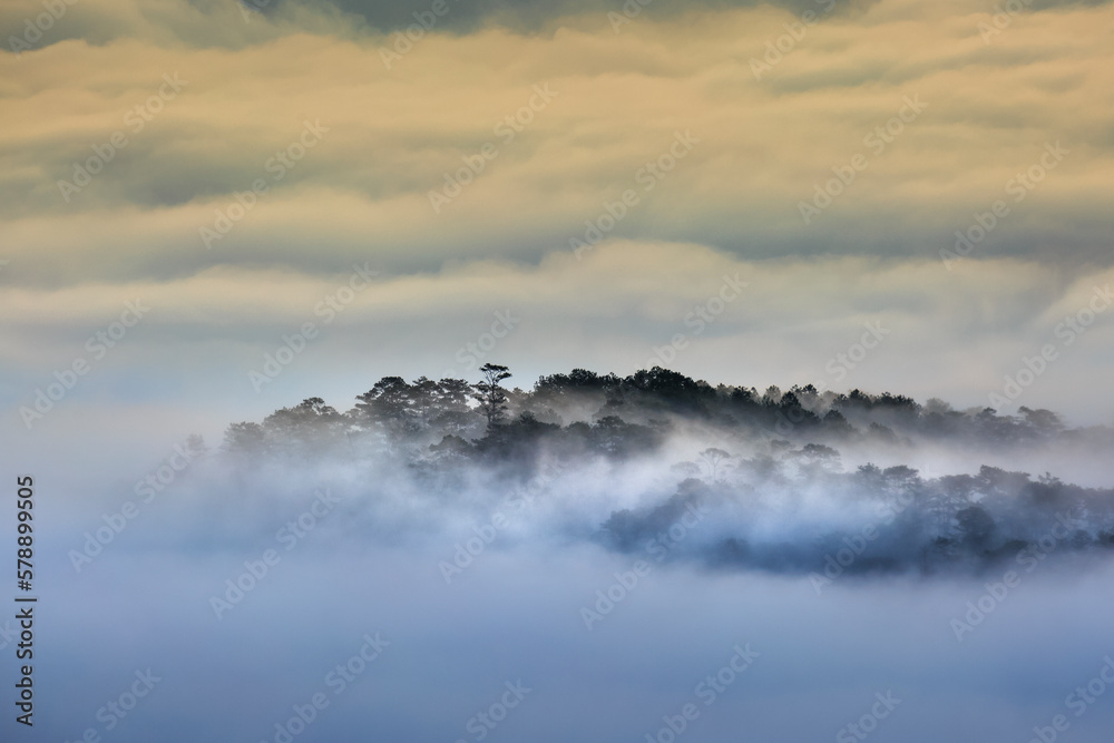 The magical beauty of the pine forests on the hill hidden in fog and cloud in the early morning at Da Lat town. Dalat is one of the most beautiful and the most famous traveling place in Viet Nam. The magical beauty of the pine forests on the hill hidden in fog and cloud in the early morning at Da Lat town. Dalat is one of the most beautiful and the most famous traveling place in Viet Nam.