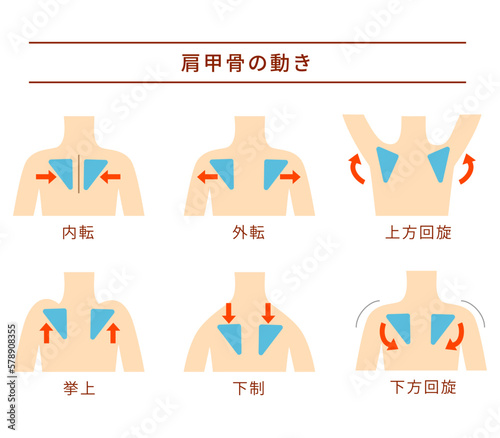 肩甲骨の6つの動作セット photo