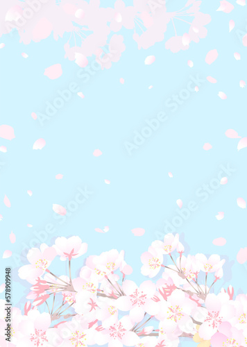 桜の枝と明るい青い空